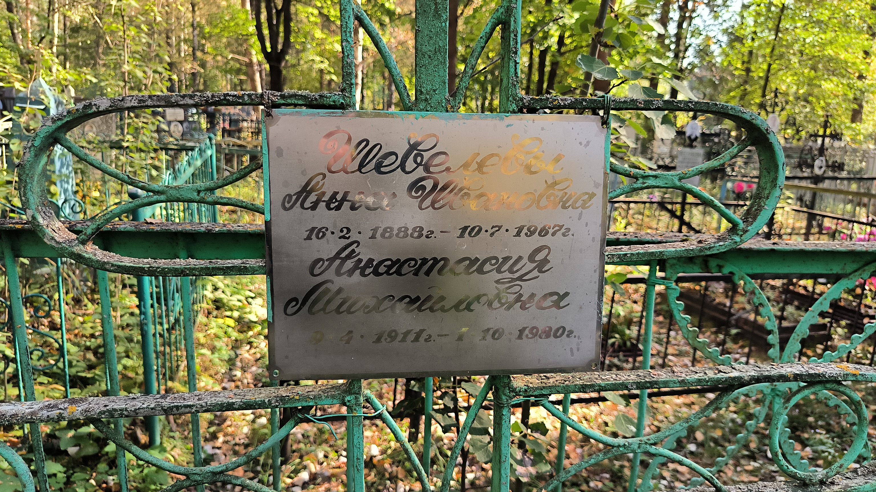 Шевелева Анна Ивановна