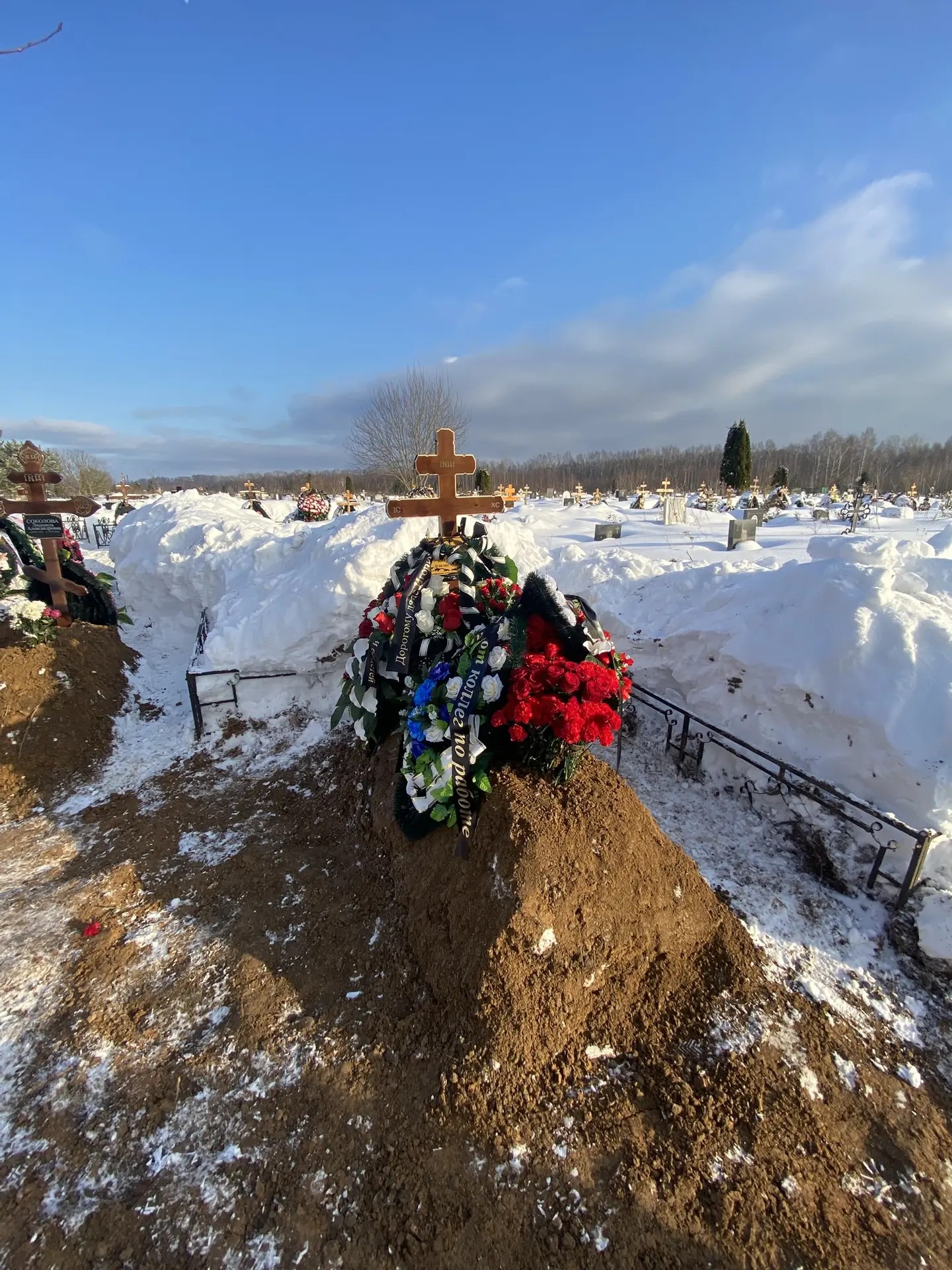 Никонов