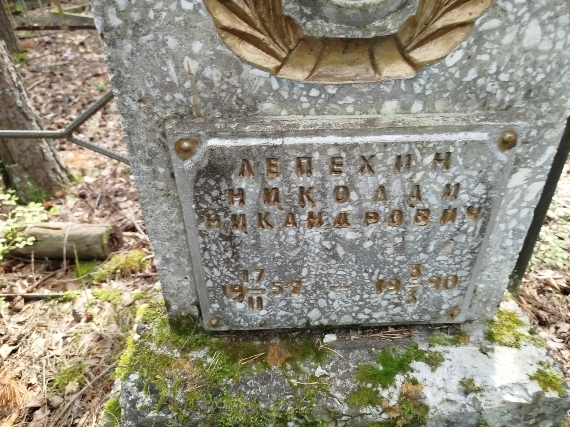 Лепехин Николай Никандрович