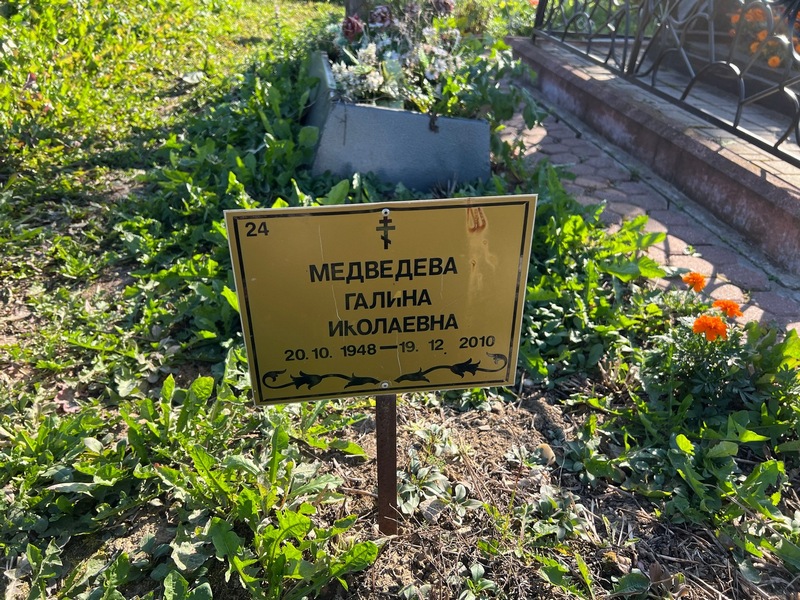 Медведева