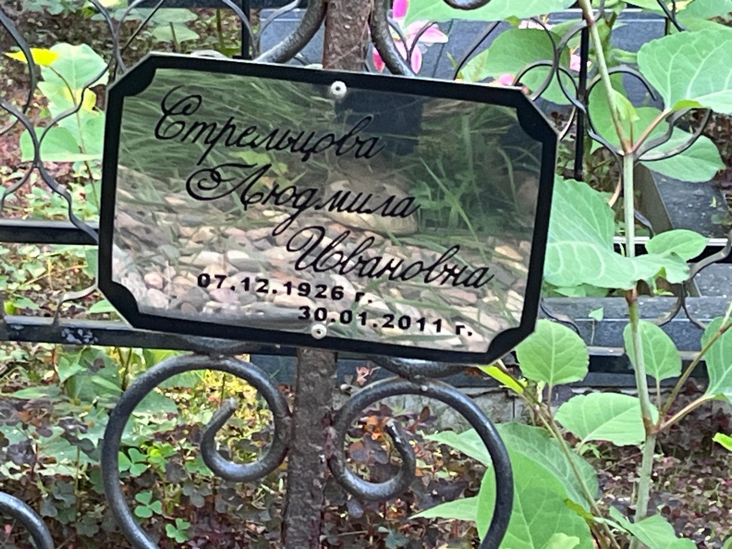 Стрельцова