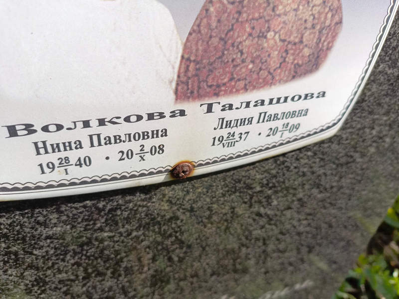 Волкова