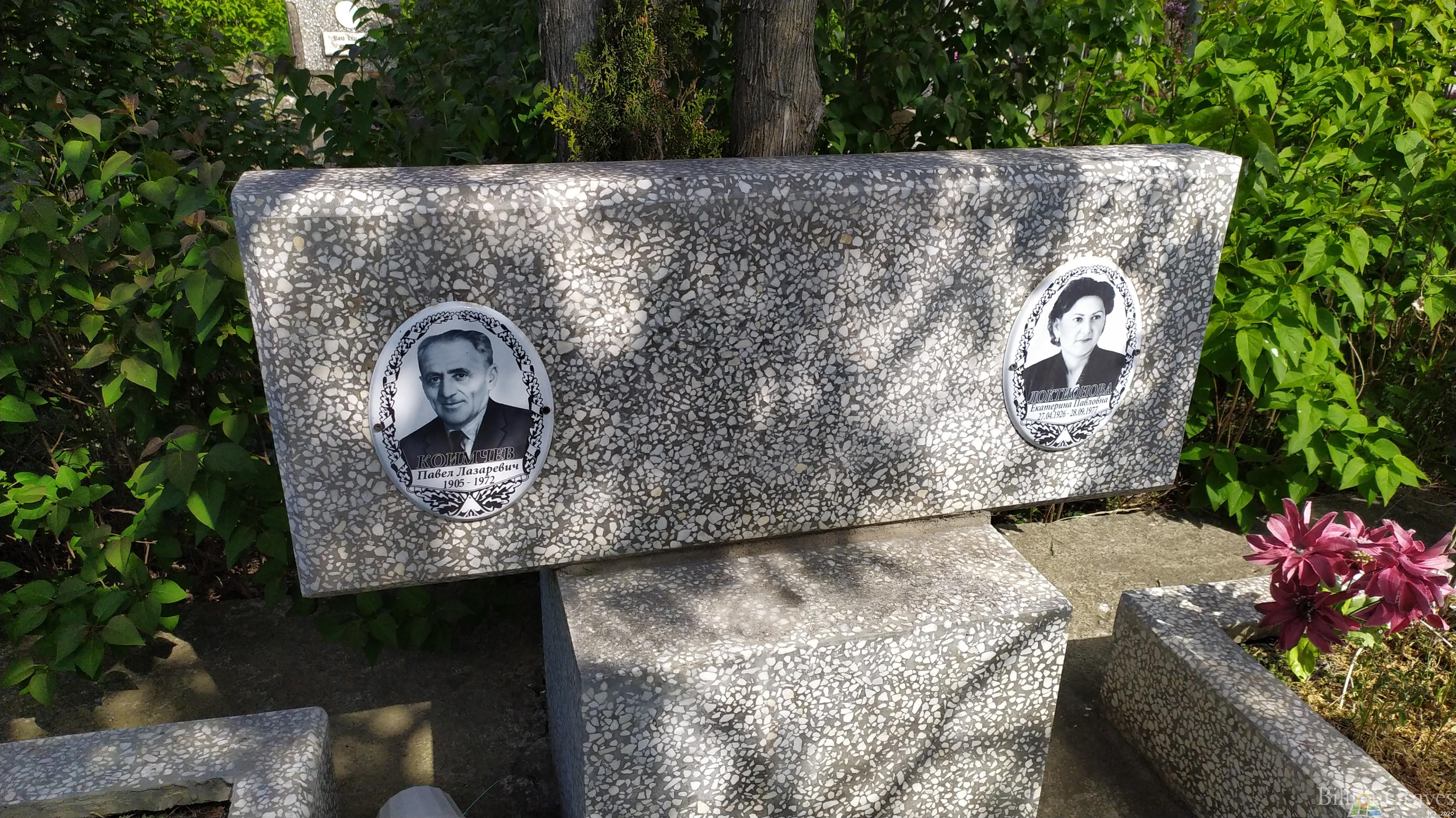 Локтионова Екатерина Павловна