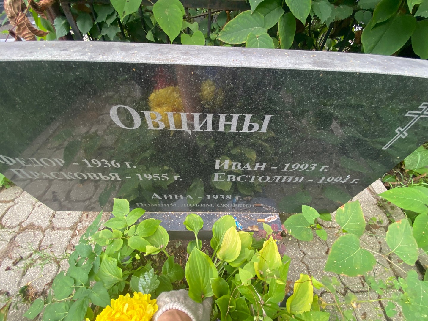 Овцин Овцин