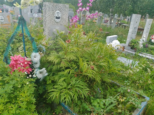 Зудов Павел Сергеевич