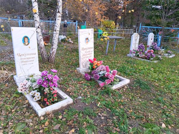 Чекунова Анастасия Ивановна