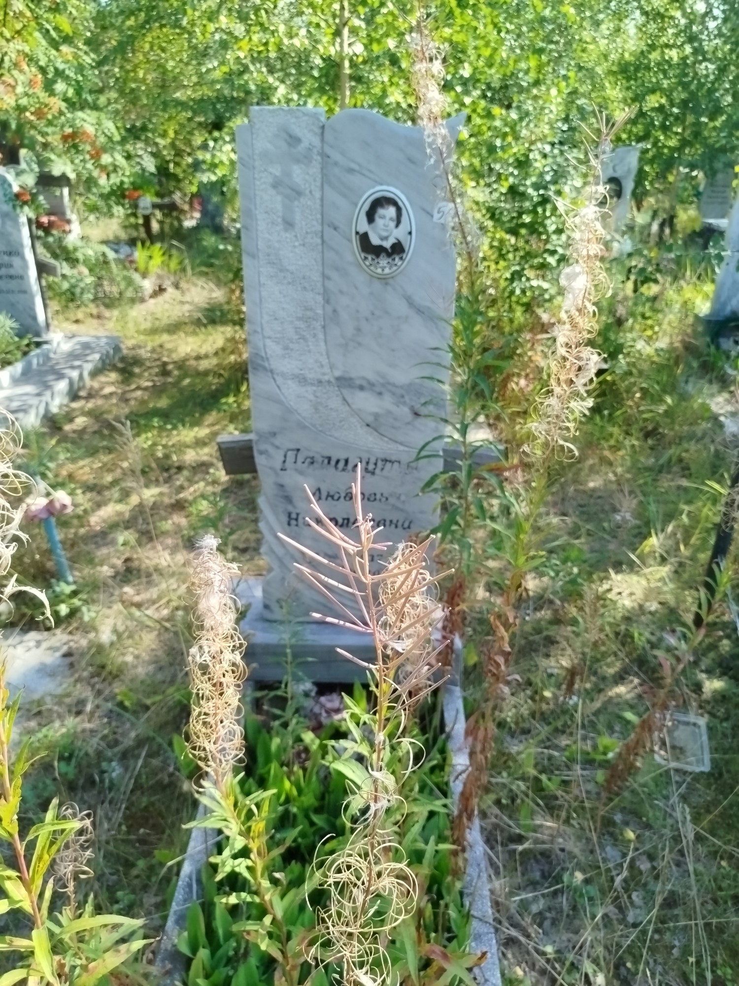 Палагута Любовь Николаевна