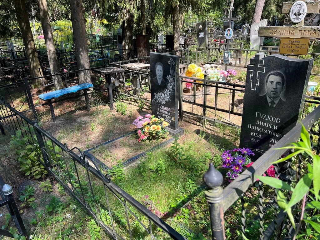 Гудков Андрей Панкратович