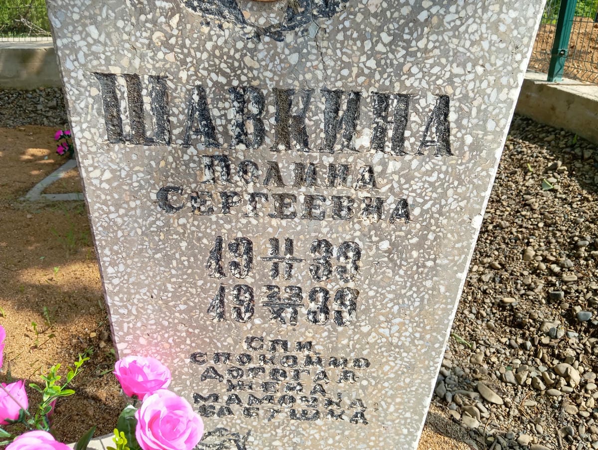 Шавкина Полина Сергеевна