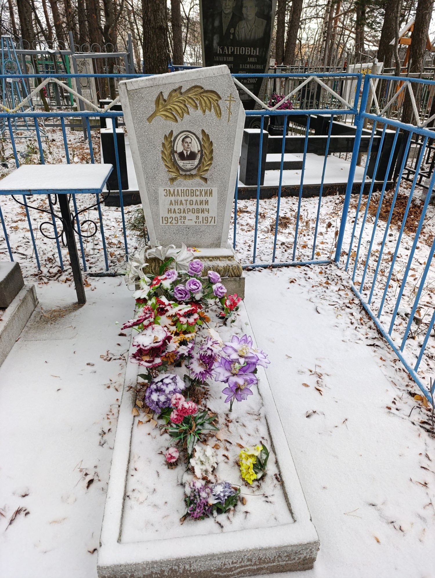 Змановский Анатолий Назарович