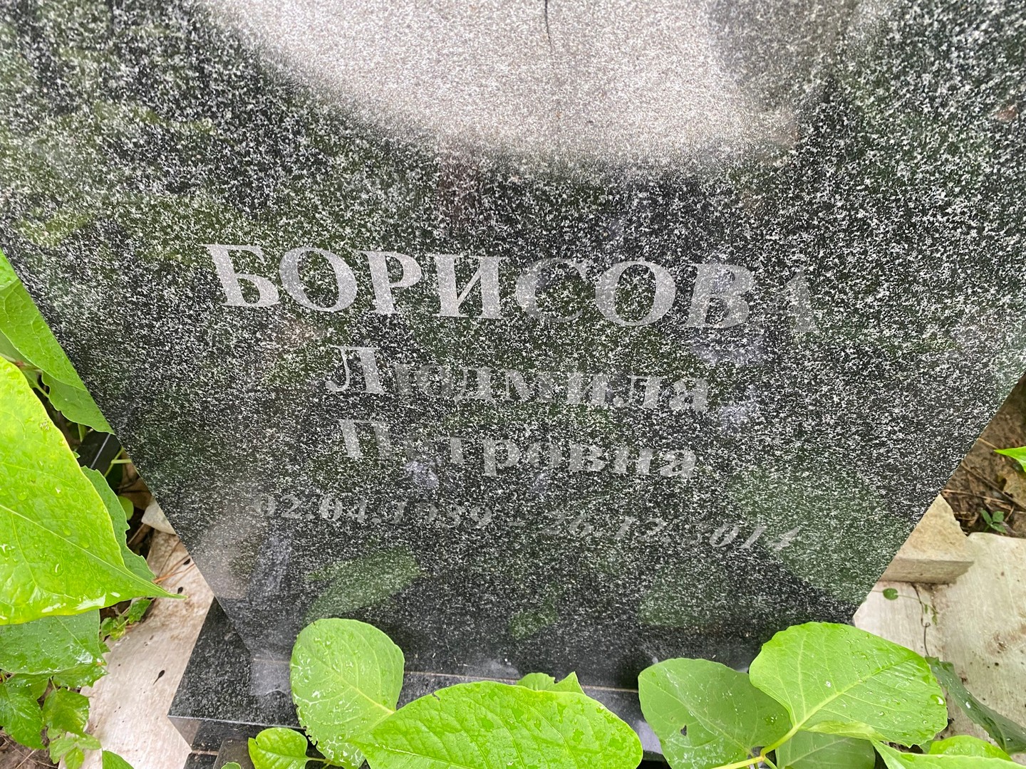 Борисова
