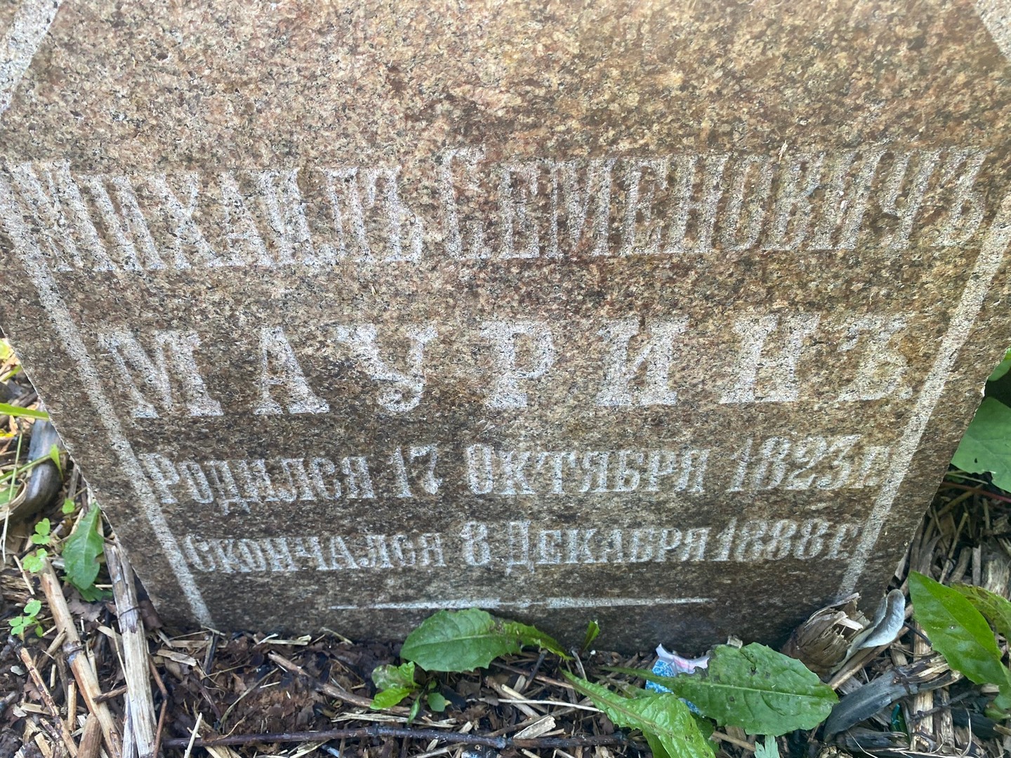 Маурин