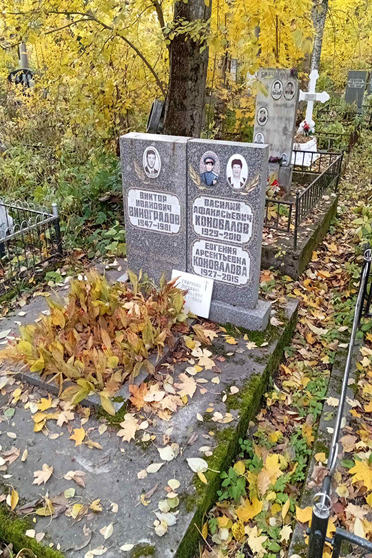 Виноградов Виктор Иванович