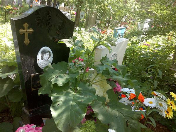 Елькина Нина Федоровна