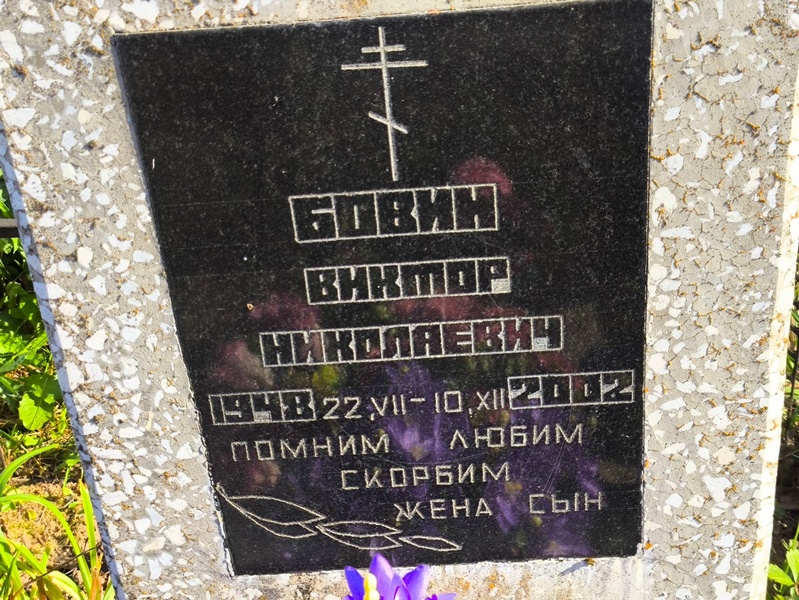 Бовин