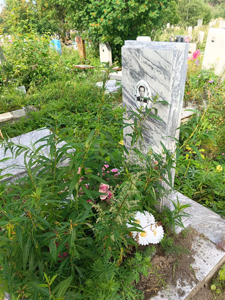 Попович Павел Юрьевич
