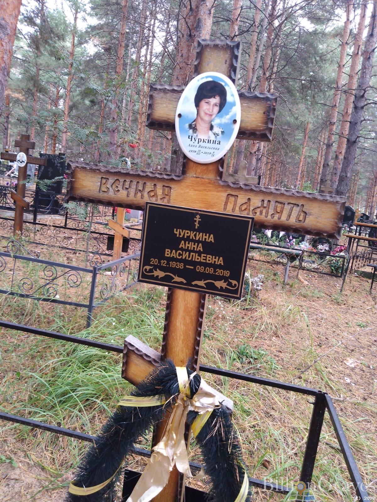 Чуркина Анна Васильевна