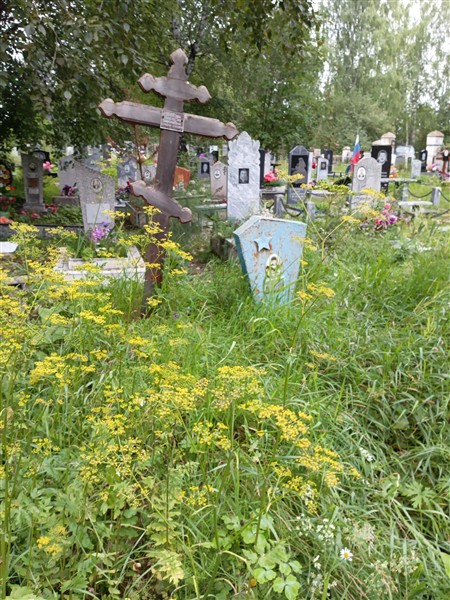 Белоусова Анастасия Дмитриевна