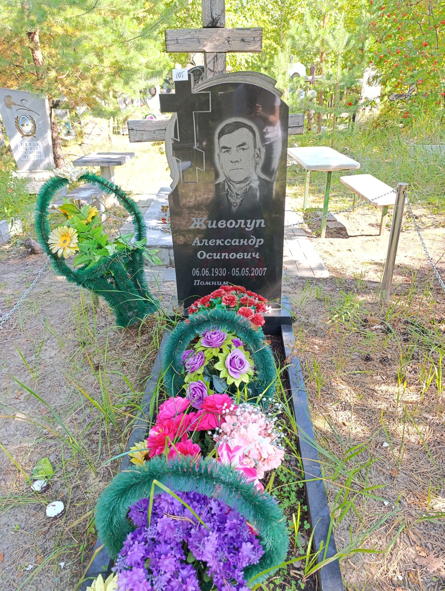 Живолуп Александр Осипович