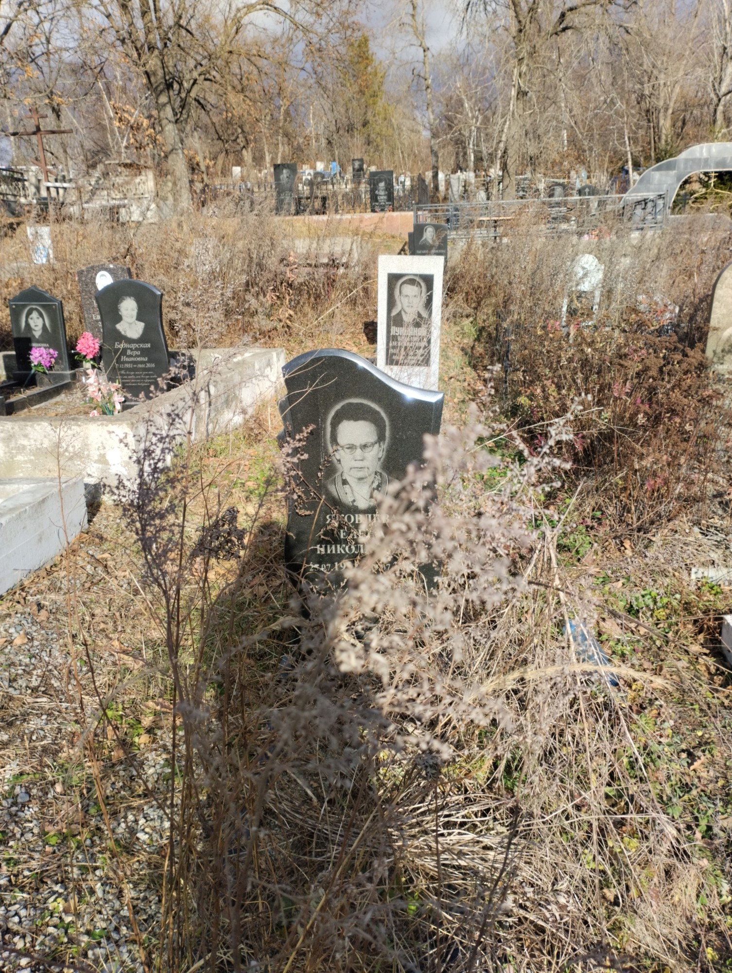 Яковлева Елена Николаевна