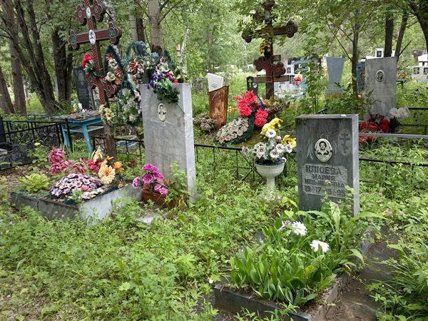 Бажова Алла Сергеевна