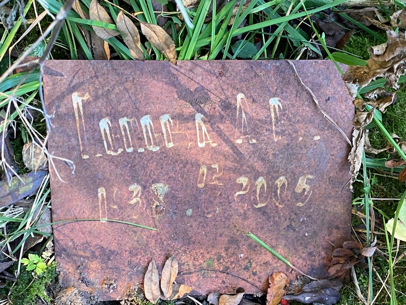 А. Попова В.