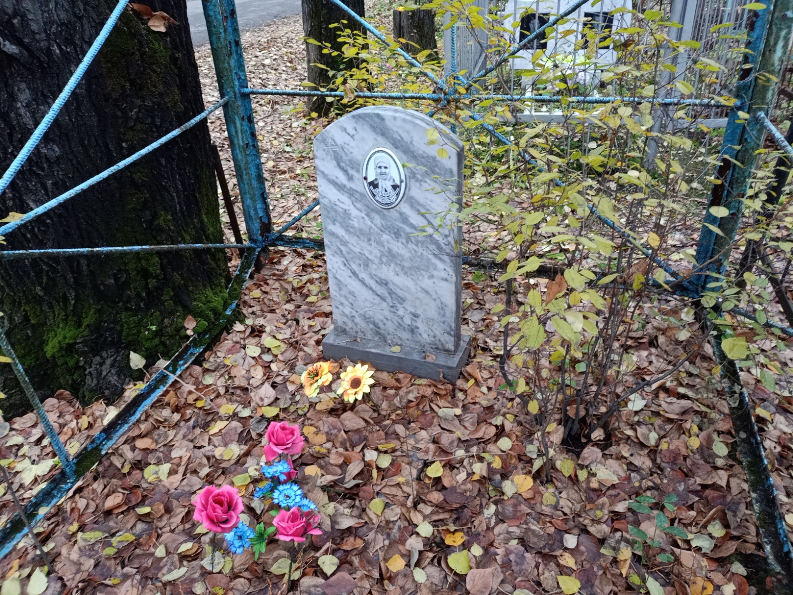 Анохина Екатерина Григорьевна