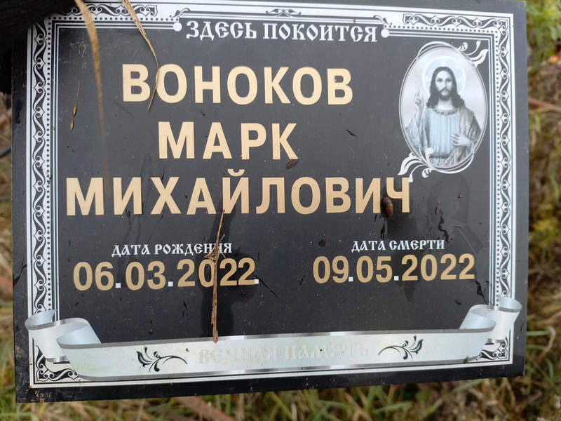 Марк Воноков Михайлович