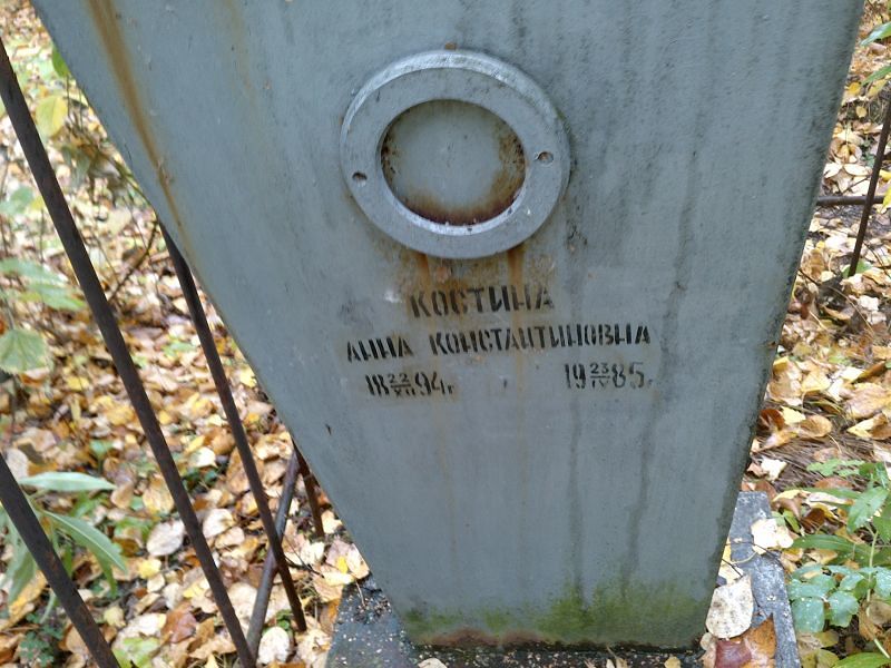 Костина
