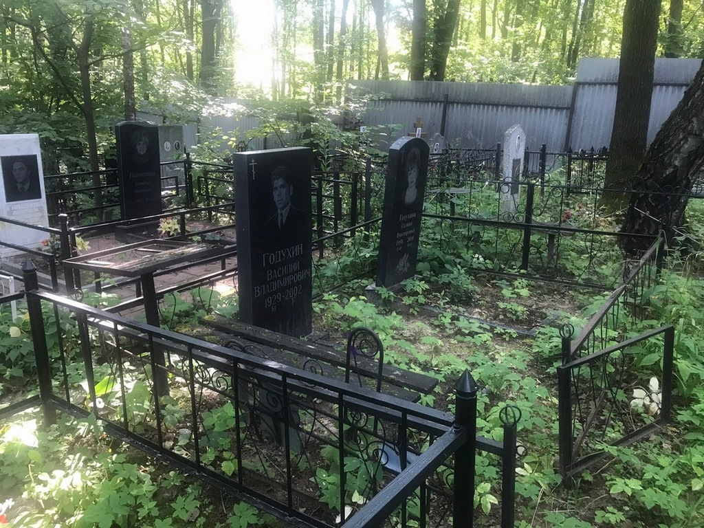 Годухина Галина Викторовна