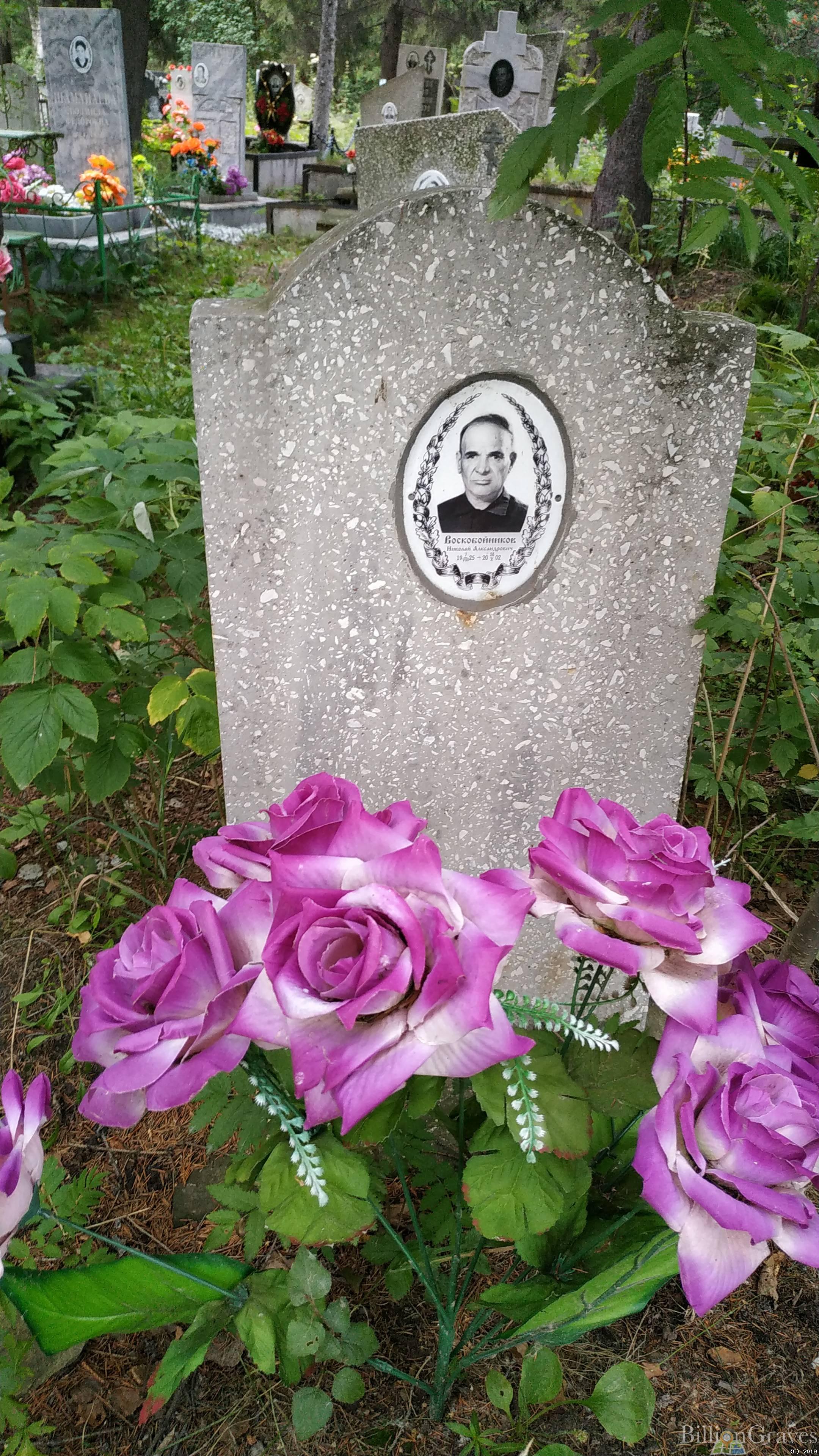 Воскобойников Николай Александрович