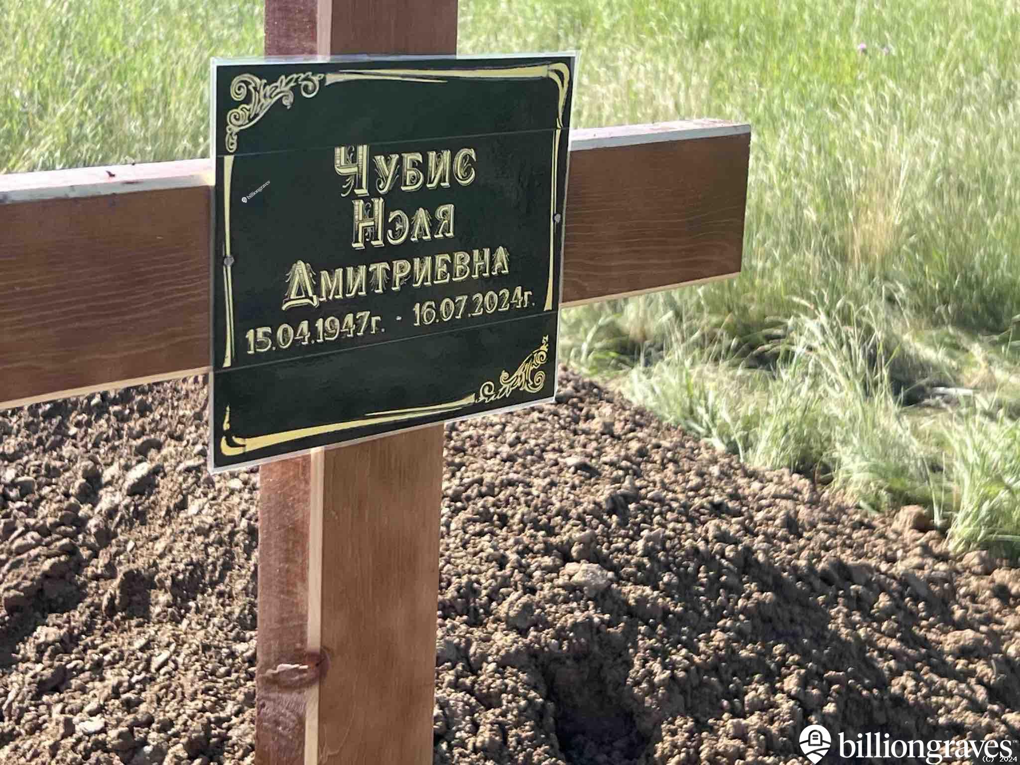 Чубис Нэля Дмитриевна