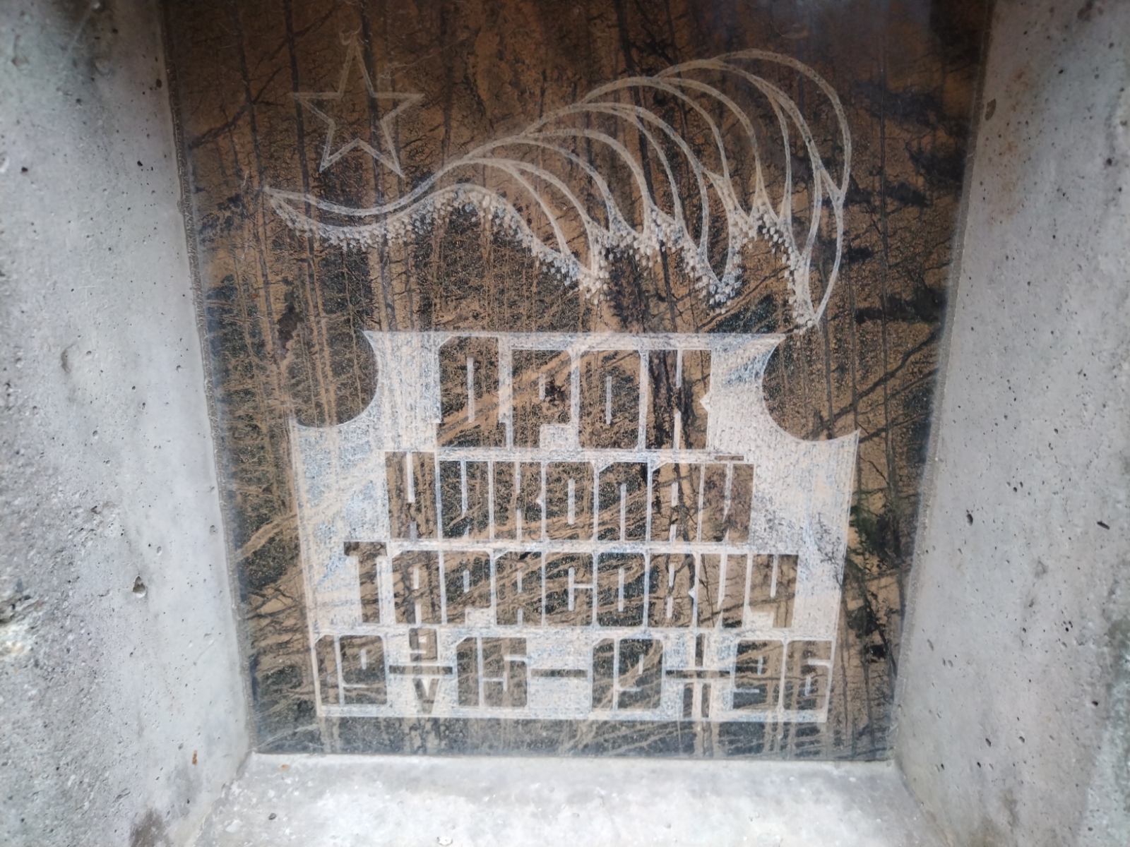 Дрок Николай Тарасович