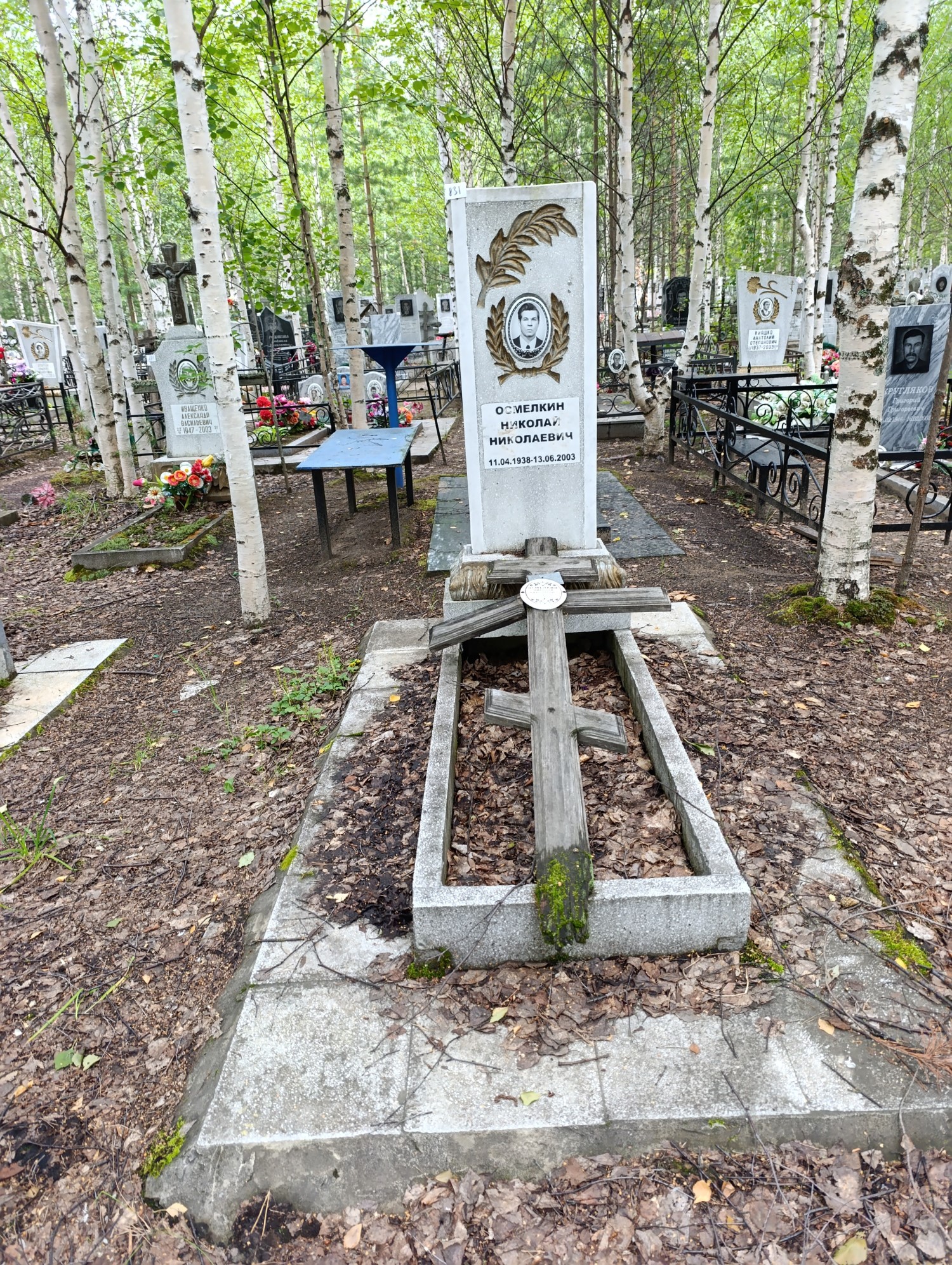 Осмелкин Николай Николаевич