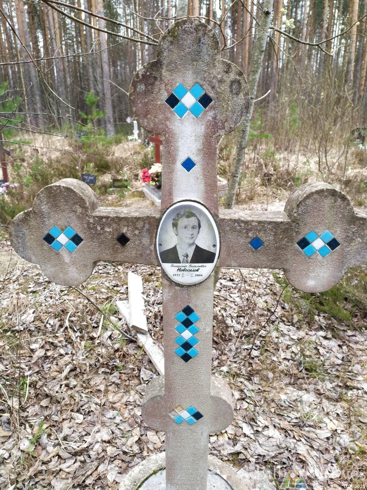 Новоселов Владимир Васильевич
