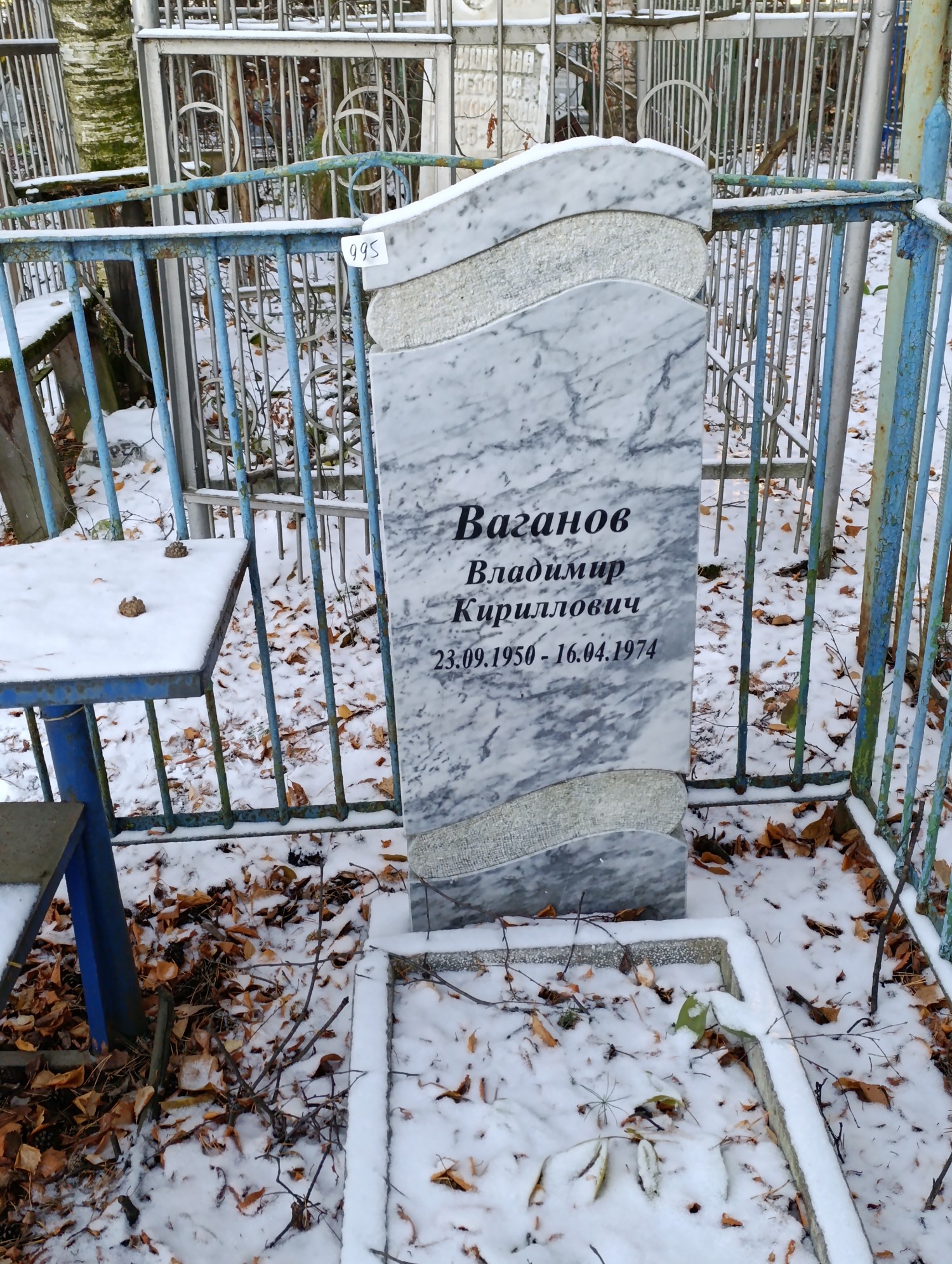 Ваганов Владимир Кириллович