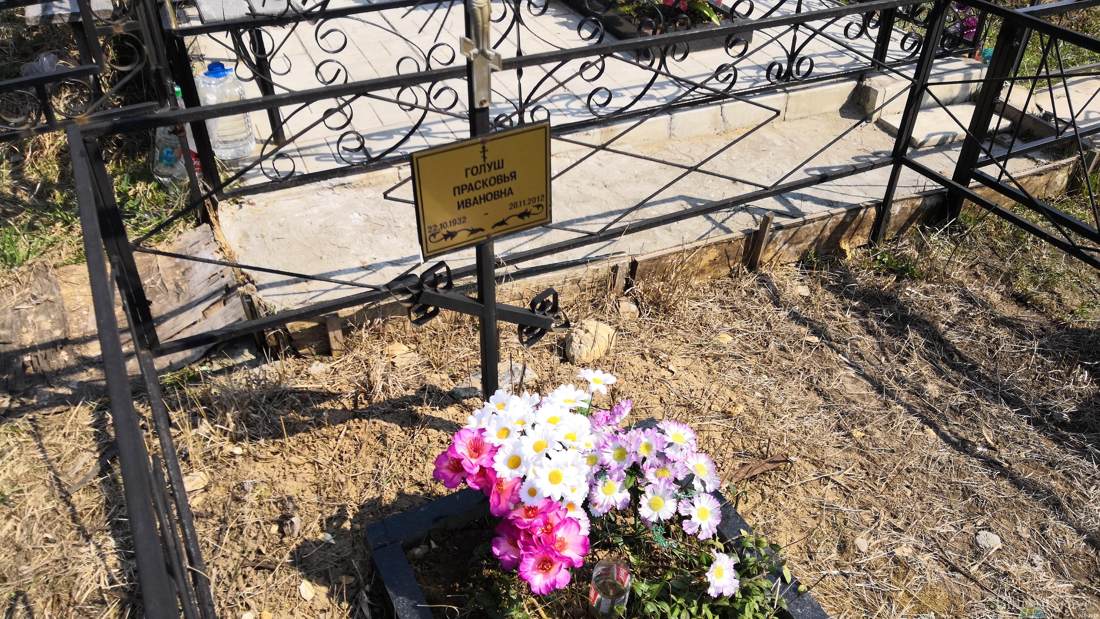 Голуш Прасковья Ивановна