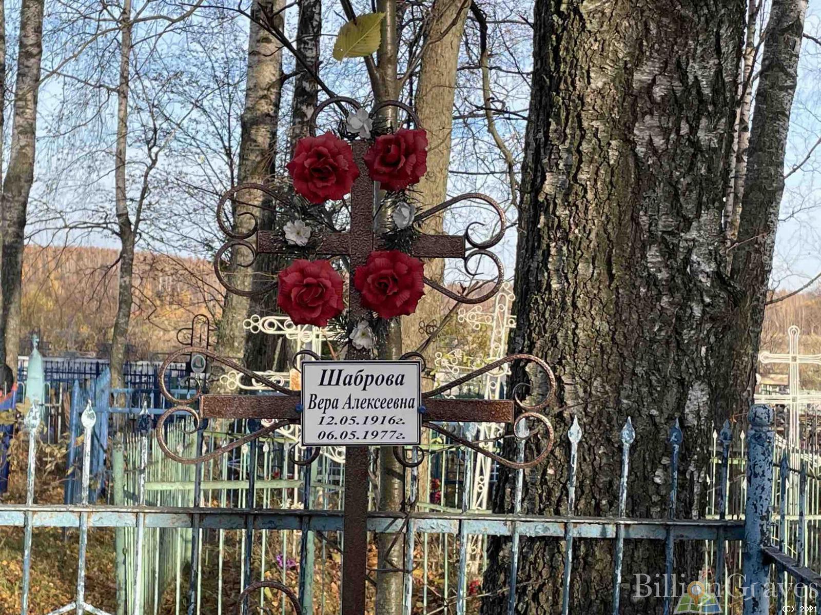 Шаброва Вера Алексеевна
