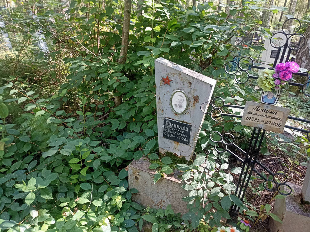 Головлев Николай Николаевич
