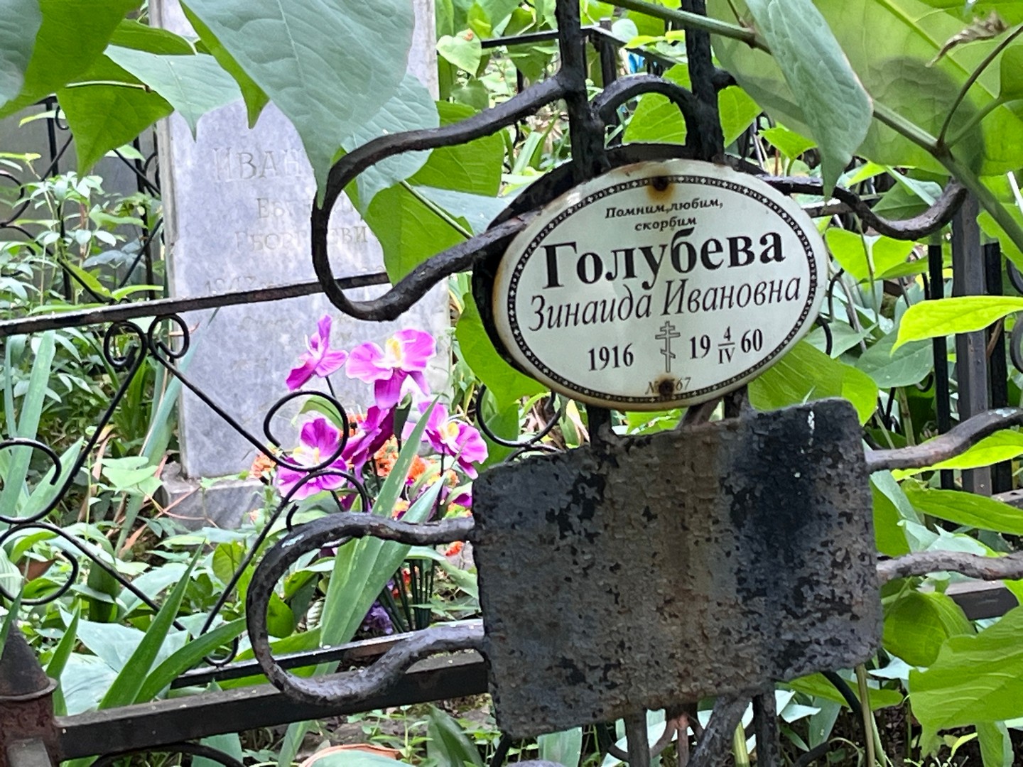 Голубева