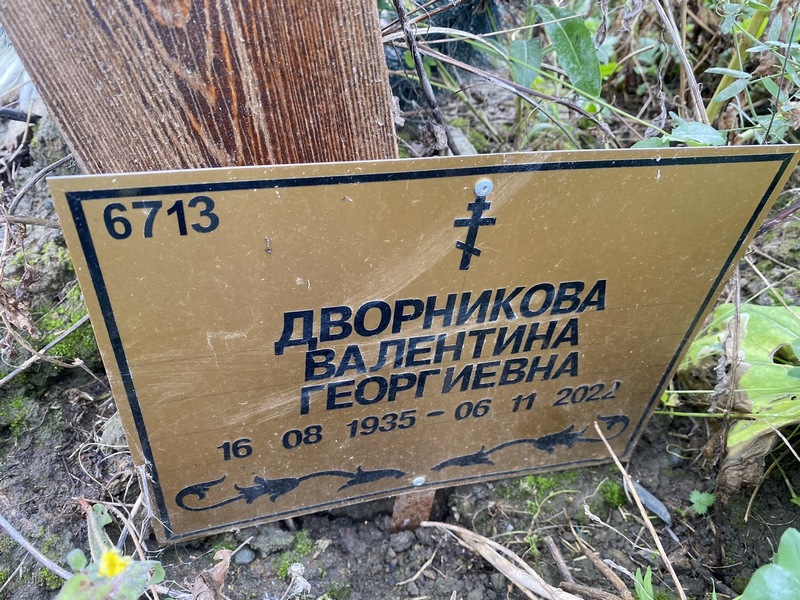 Дворникова