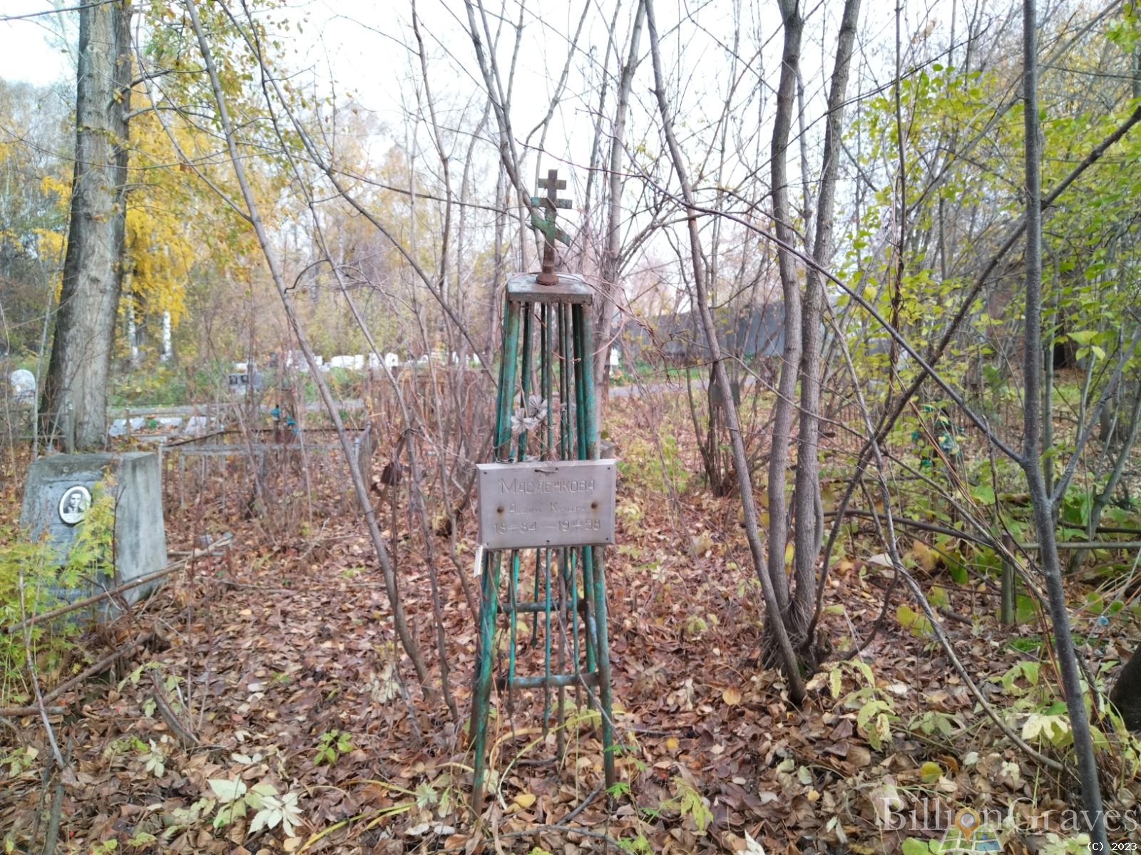 Масленкова Аделина Карловна