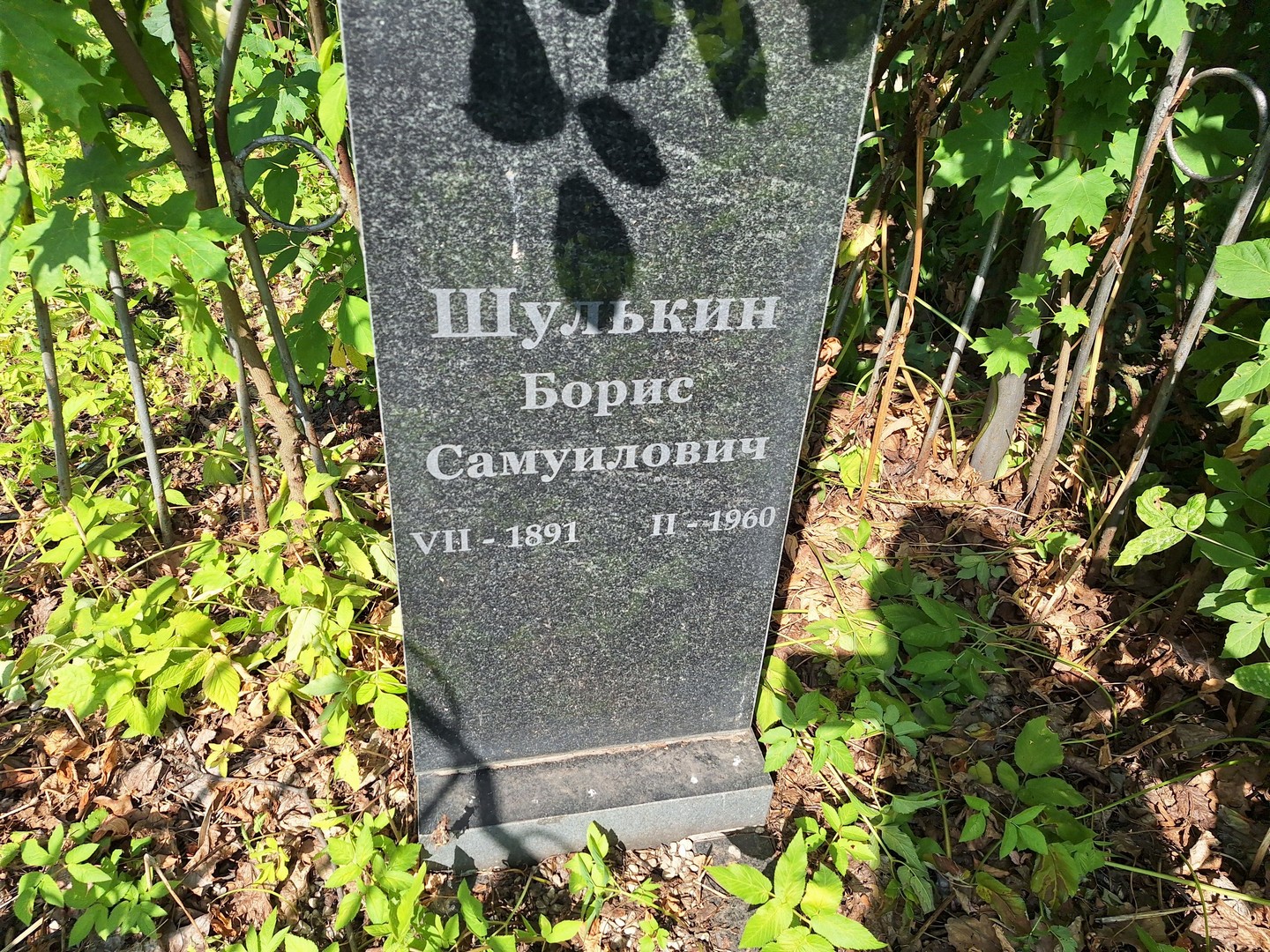 Шулькин