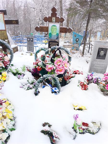 Дружинин Александр Николаевич