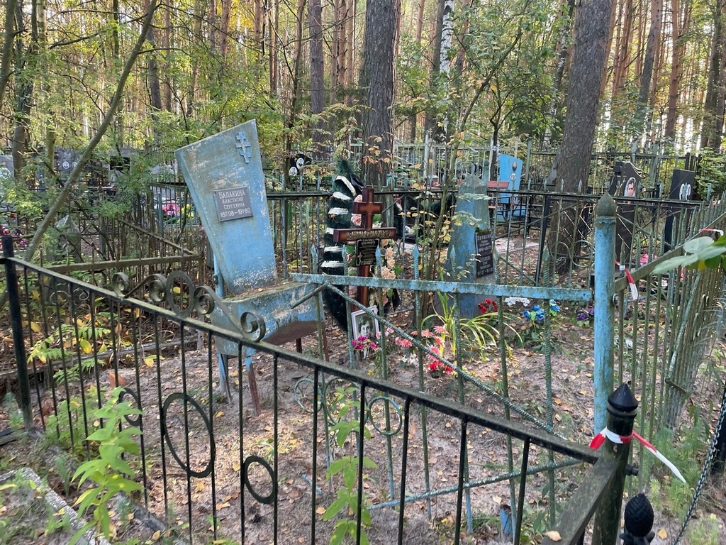 Воронина Лариса Михайловна