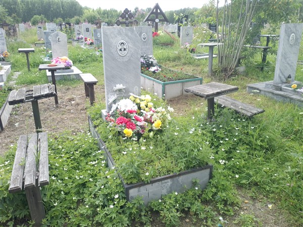 Баскова Анна Николаевна