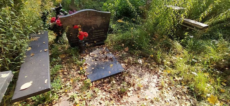 Обойшев Дмитрий Александрович