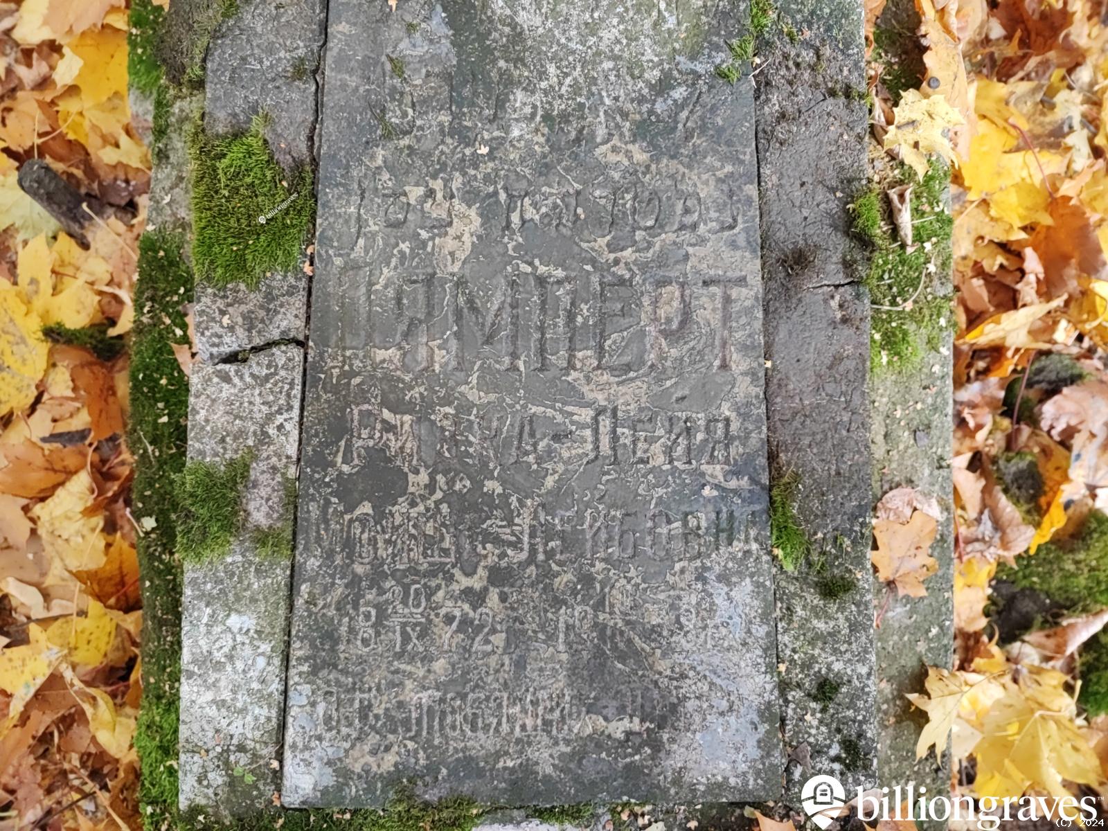 Лямперт Ривка Лейя