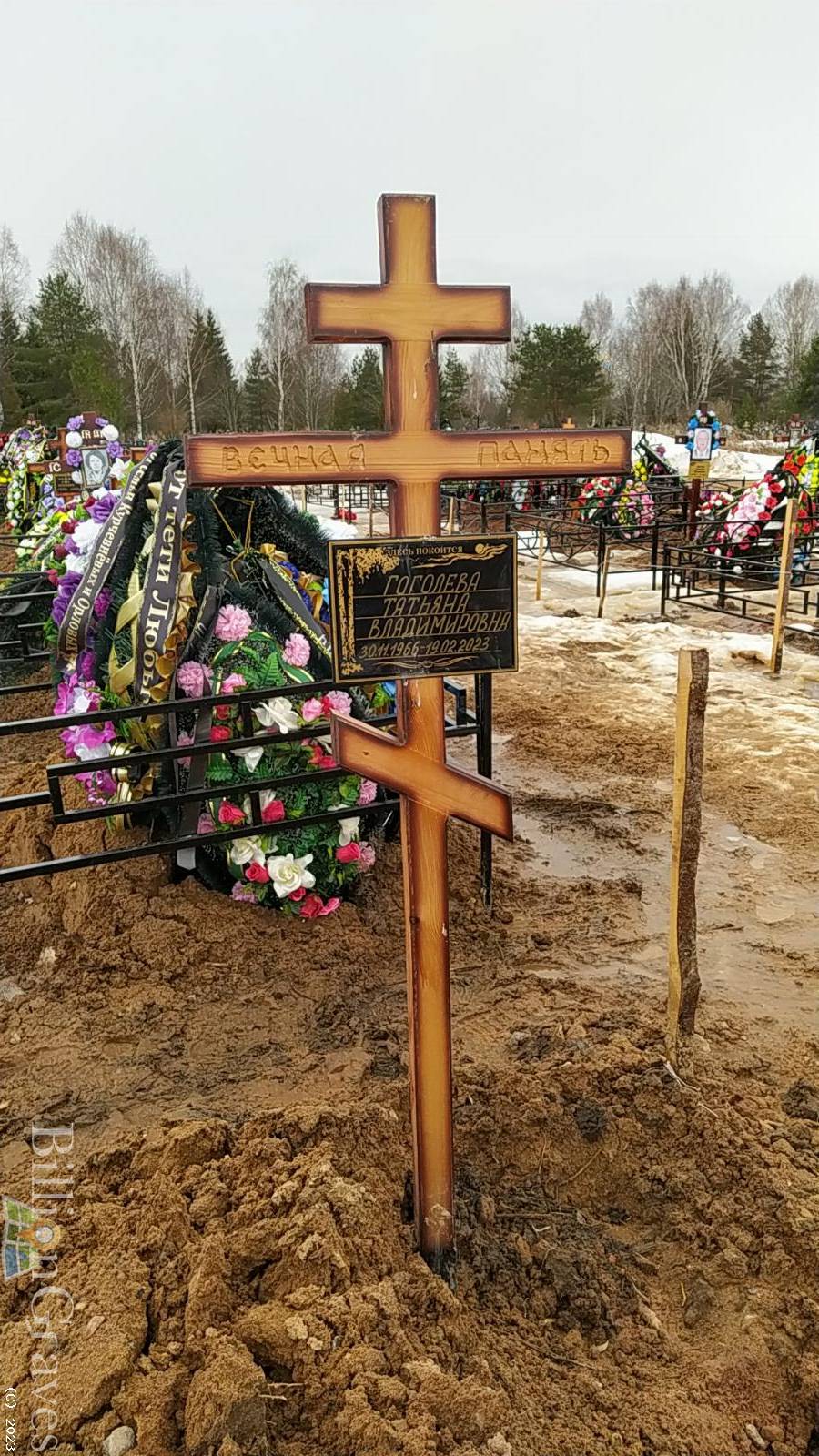 Гоголева Татьяна Владимировна
