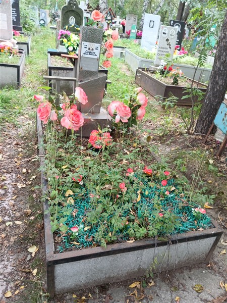 Пайвина Алиса Яковлевна